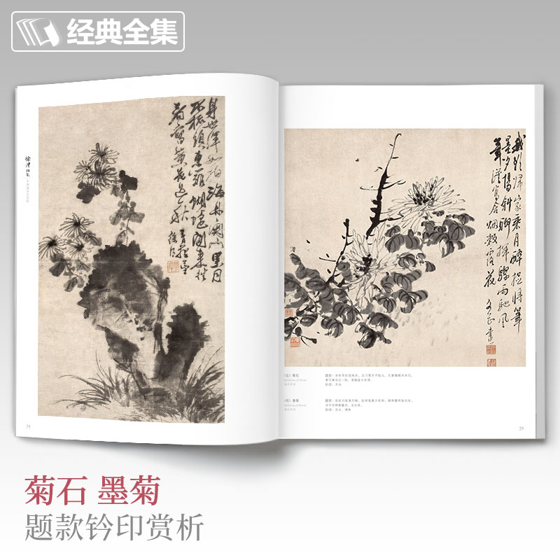[正版]书籍徐渭画集高清大图