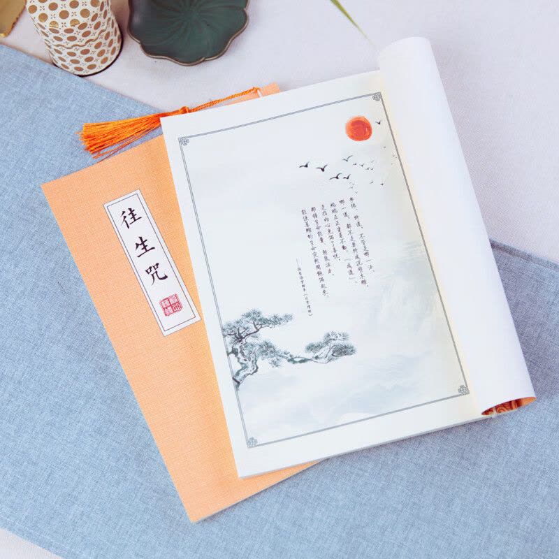 常诵课往生咒全注音版手抄经本字帖硬笔图片