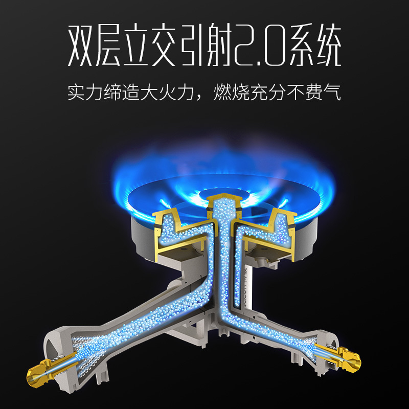 帅康(sacon)68G燃气灶双灶台式嵌入式煤气灶5.2kW大火力家用猛火不锈钢以旧换新打火灶炉具炉灶单灶煤气炉天然气