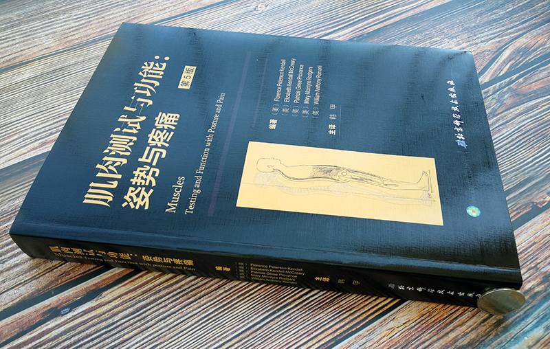 [正版]肌肉测试与功能 姿势与疼痛 方法指南运动康复李哲直播北京科学技术出版社高清大图