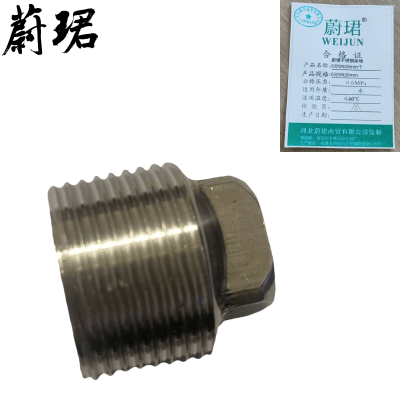 蔚珺不锈钢丝堵6分DN20mm
