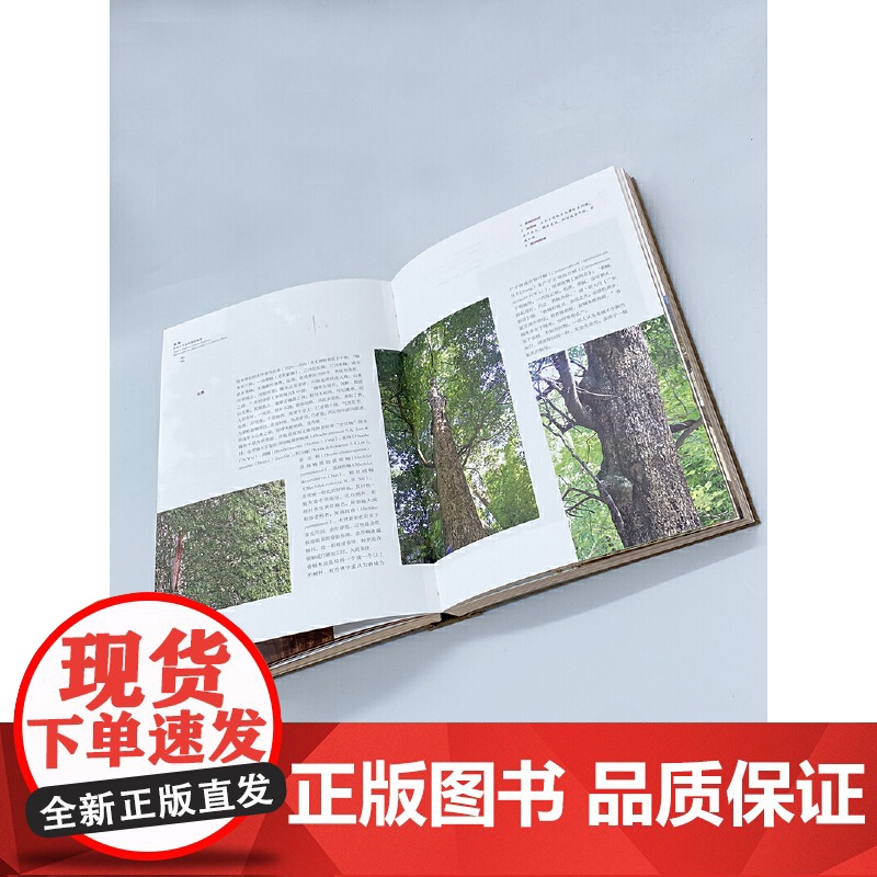 木鉴:中国古代家具用材鉴赏 周默/著 囊括了诸如檀香紫檀、黄花黎、红木、楠木等大家耳熟能详的珍贵木材高清大图