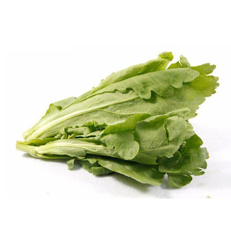 农聚源 【春节正常发】蓬蒿菜 500g 蓬篙菜 新鲜蔬