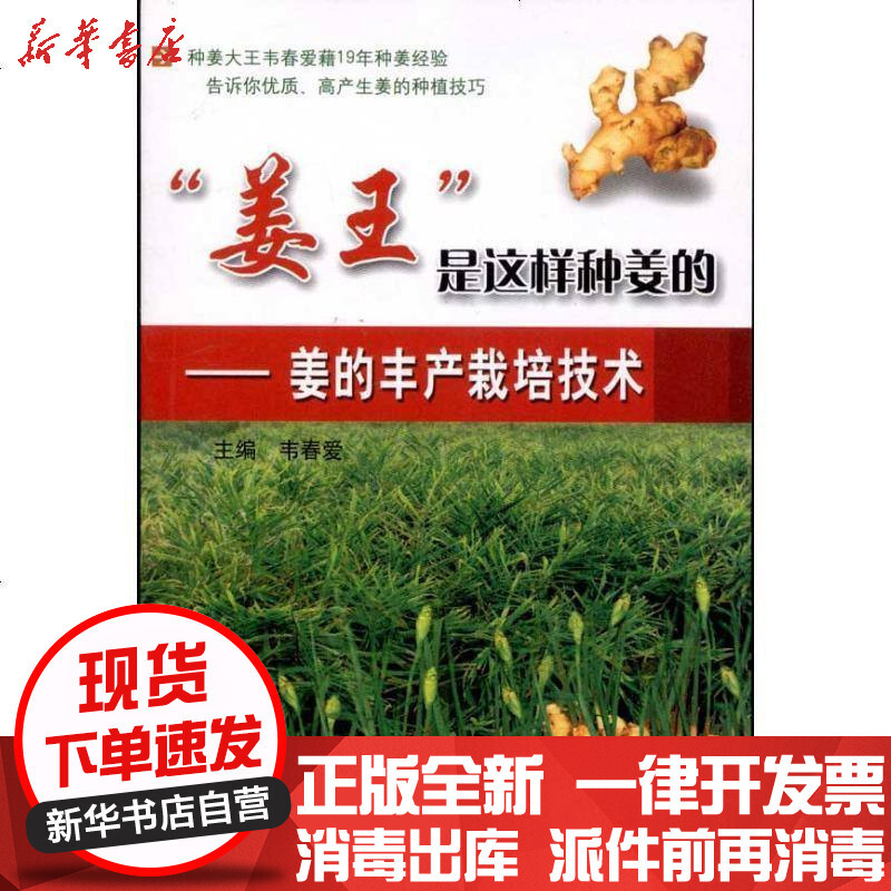 姜王 是这样种姜的 姜的丰产栽培技术 摘要书评在线阅读 苏宁易购图书