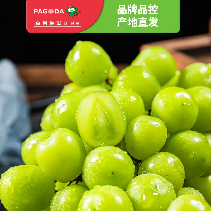 百果园公司 A级-阳光玫瑰青提(大果)3斤礼盒装 时令青提葡萄提子