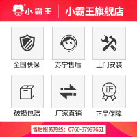 小霸王 DS6010燃气热水器家用10L天然气智能变频恒温特价强排式