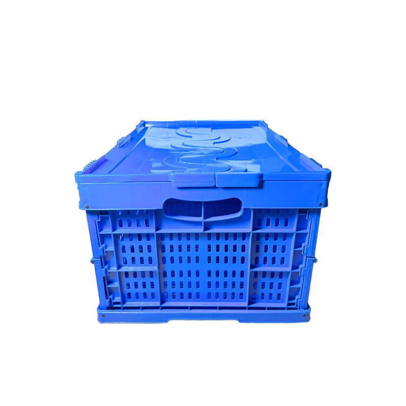 秦泰(Cqint) FSBOX-04 折叠收纳箱 60*40*28cm 50L收纳箱带盖