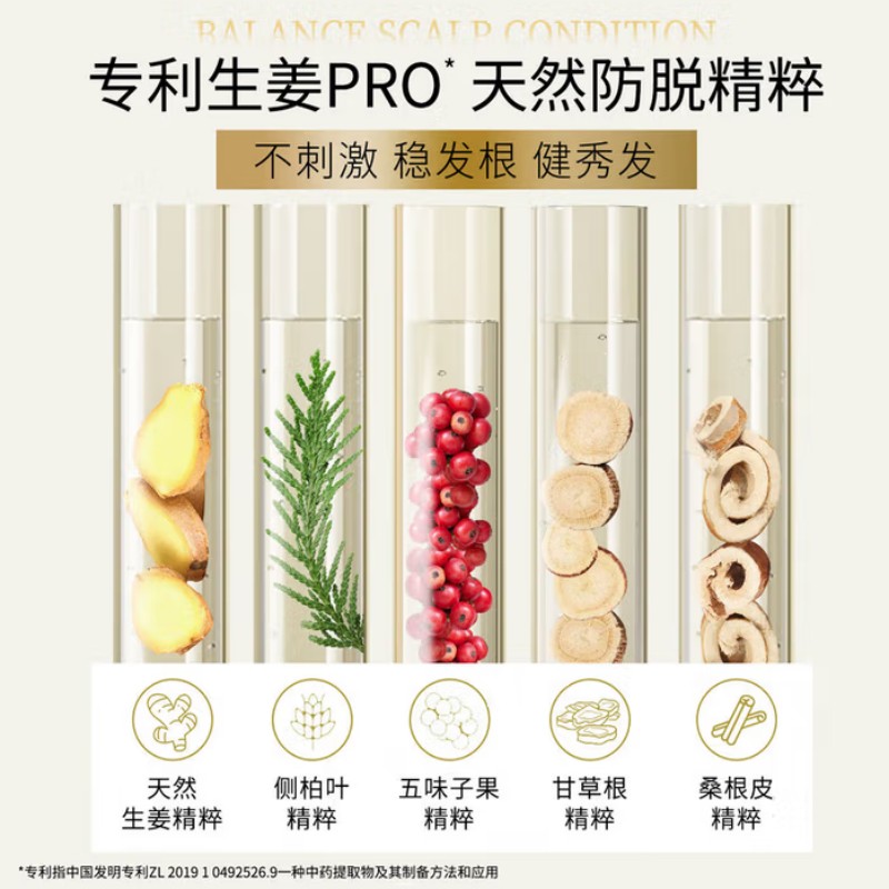 滋源 生姜强根健发洗头水油性 535ml*12瓶/箱 (新旧包装随机)高清大图