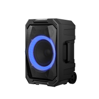 飞利浦(philips)SD617 广场舞音响蓝牙拉杆音箱家用卡拉ok派对K歌户外大功率低音炮可录音扩音器