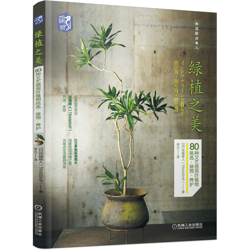 [醉染正版] 绿植之美 80种文艺感观叶植物挑选 装饰 养护 日本 花植旅人 养花那点事儿 盆栽布景书 人气绿植挑选高清大图