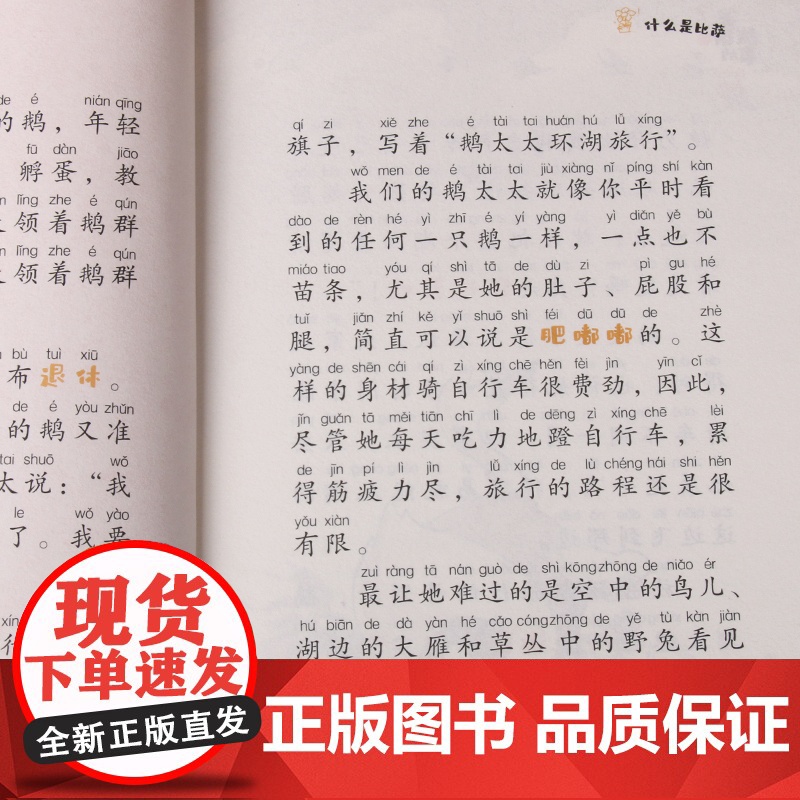 笨狼的故事 注音版:什么是比萨 什么是比萨高清大图