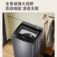 海尔(Haier)10公斤 大容量 全自动 波轮洗衣机 除螨洗 钢化玻璃上盖 政府补贴 XQB100-M1269