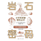 正版新书]少年科学家通识丛书--岩石密码编委会 著9787520213806