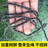 鼎立(DINGLI) 鱼网丝网渔网粘网沾网三层渔网沉网挂网挂子丝网绿色丝网水库大鱼网进口丝网渔网渔具