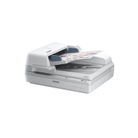 爱普生(EPSON) DS-70000 A3幅面平板+ADF扫描仪 双平台扫描仪 免费安装 (白色)