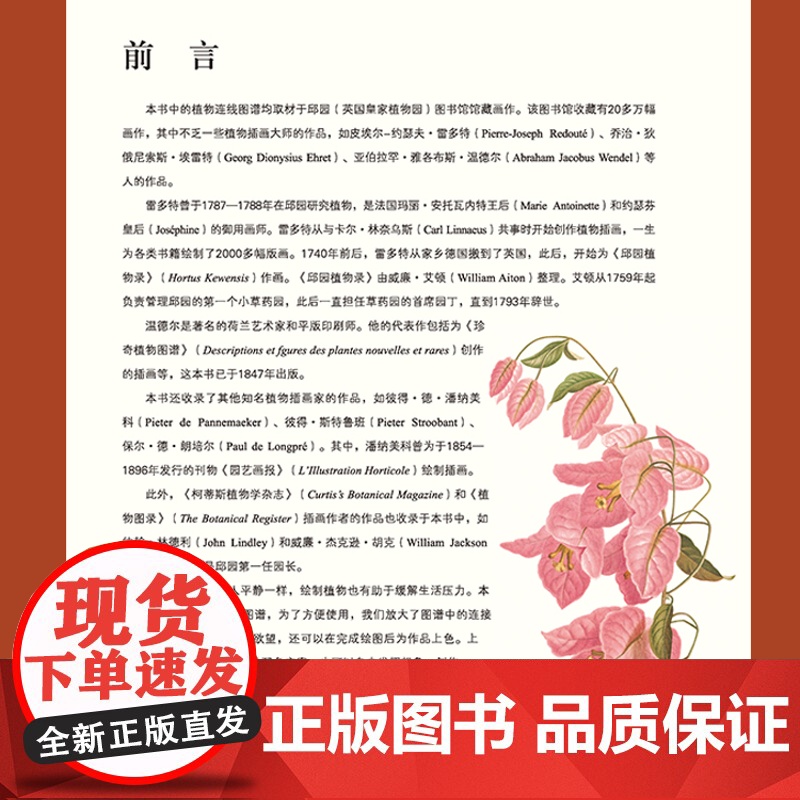 新书 绿手指园艺《邱园植物绘本Ⅱ》植物-图集高清大图