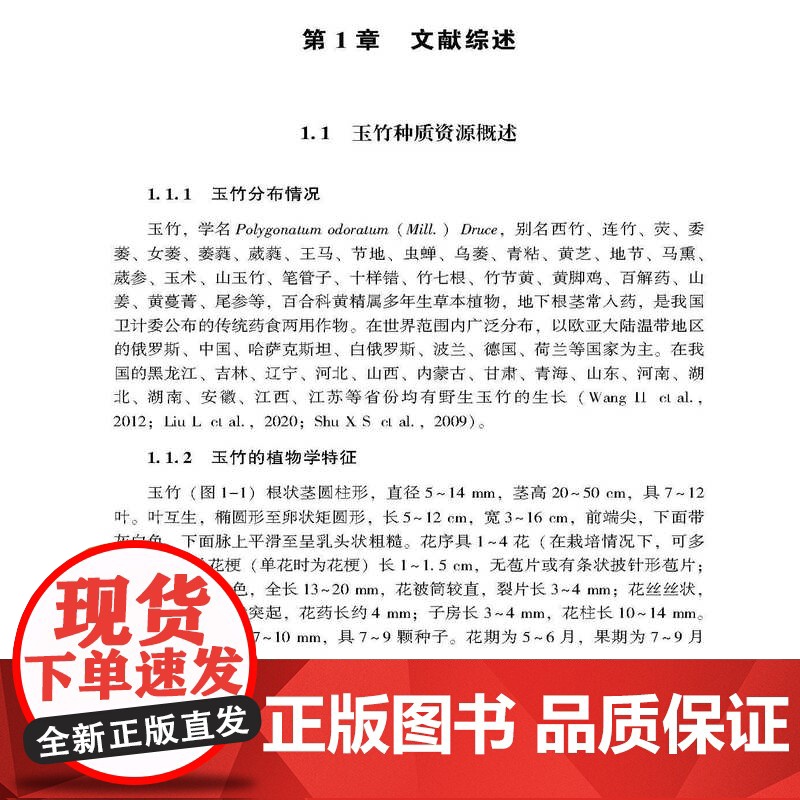 玉竹黄酮活性研究与产品开发 本书可为食品及相关专业的研究者和生产者参考使用高清大图