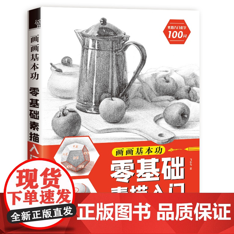 画画基本功 零基础素描入门高清大图