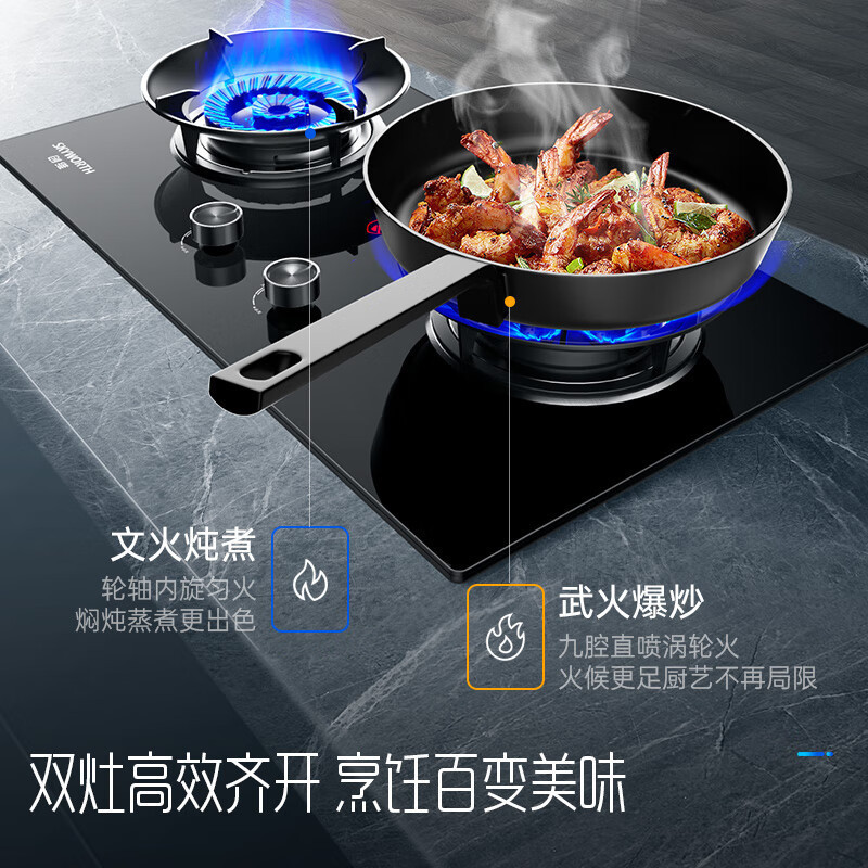 创维 燃气灶煤气灶双灶家用 5.0kW九孔聚能猛火鸳鸯灶具 台式/嵌入式 钢化玻璃灶台 Z209B液化气
