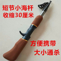 柄迷你钓鱼竿短竿海竿水滴轮冰钓竿鱼杆渔具 1.6米棕色路亚(不带线轮)