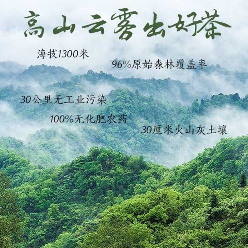 三氧望山蒙顶工夫100g*2罐 SY-WS001高清大图