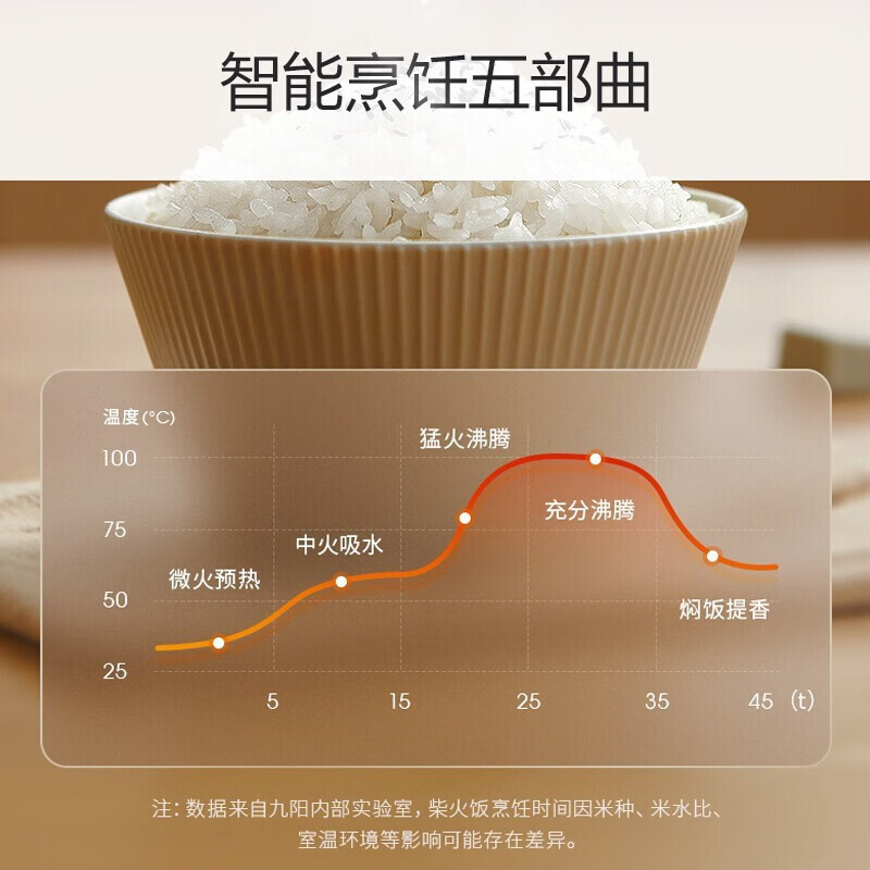 九阳(Joyoung) 电饭煲电饭锅铁釜饭煲家用煮粥煲汤蒸米饭柴火饭4L大容量智能电饭煲2-6人 4L容量F-40T36