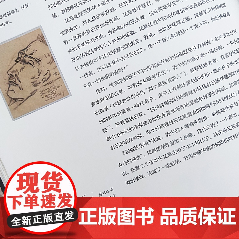 伟大画家:梵高 天才与疯子 纸上画廊+人物传记 精装珍藏艺术集 看懂名画 了解画家的一生广东人民出版社高清大图