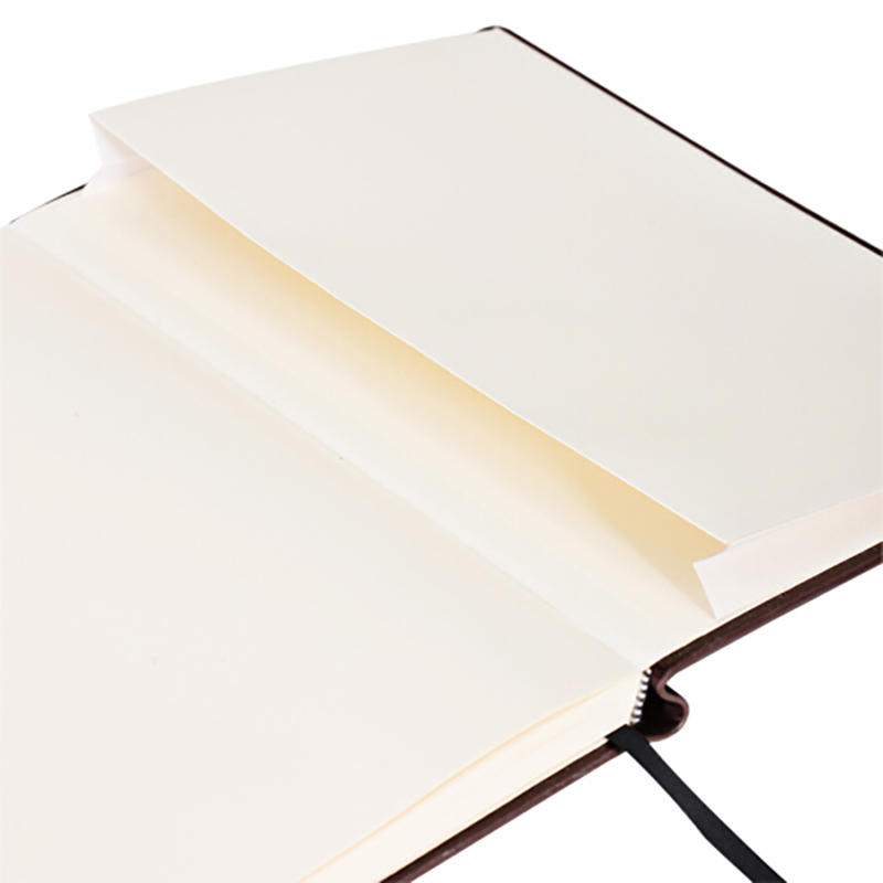 得力22260大号厚商务笔记本子文具 斜绑带复古皮面本记事本办公用品 16K120张棕色