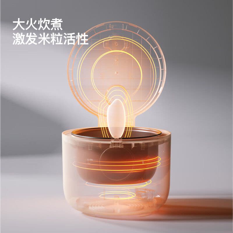 龙的(Longde)LD-FS351电饭煲家用多功能电饭锅3L不沾锅内胆高颜值饭煲可预约图片
