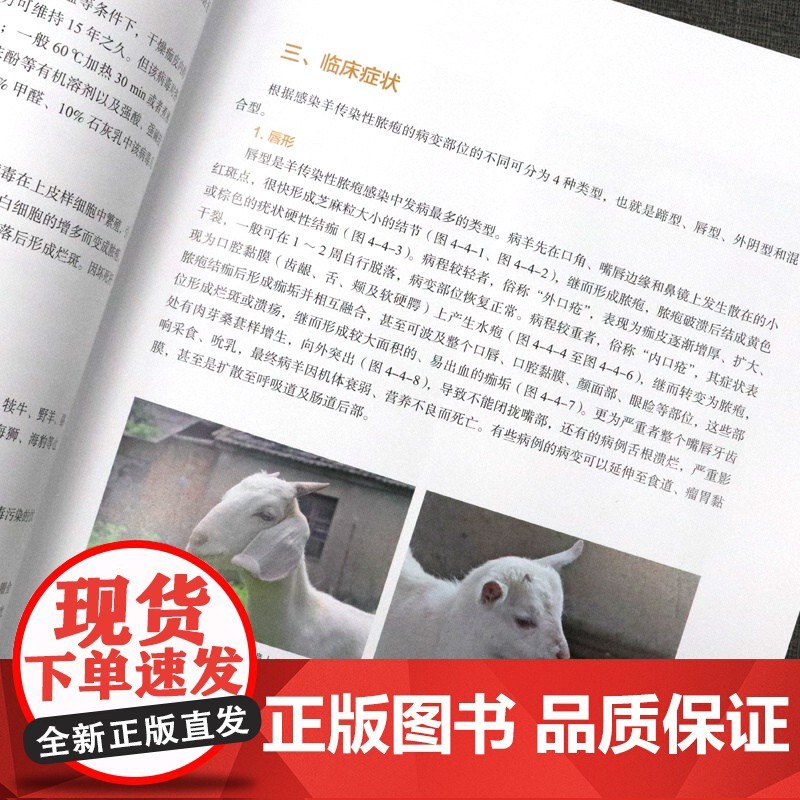 羊病图鉴 羊病鉴别诊断技术大全 图解羊瘟羊疫羊传染病代谢病寄生虫病等 羊病控制羊场生物安全体系建立 羊病临床症状剖检病理