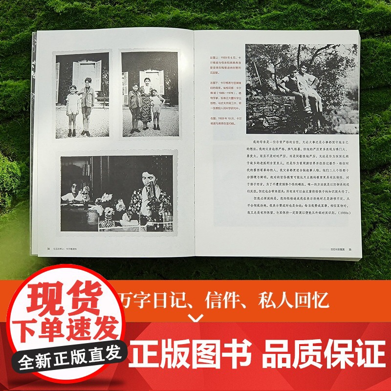 生活在树上:卡尔维诺传百年诞辰盖章纪念版 包含日记信件私人回忆300余幅珍贵图像追忆卡尔维诺写作生轨迹正版图书译林出版高清大图