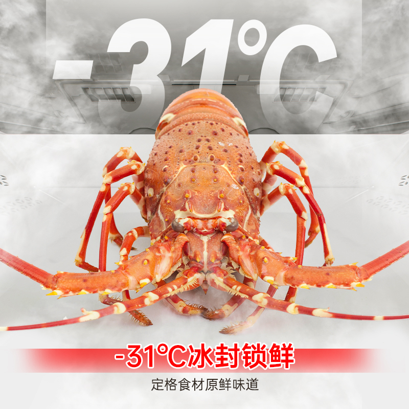 容声方糖515升主动净味双系统法式多门四开门超薄嵌入式电冰箱一级能效灰色冰箱 BCD-515P60FZMAD高清大图