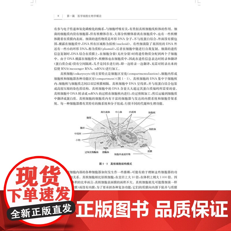 医学细胞生物学第3版 易静全国高等医学院校教材杨洁沟通基础与临床的医学细胞生物学经典教材上海科学技术出版社高清大图