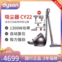戴森(Dyson) CY22吸尘器 卧式家用 无尘袋 圆筒 干式1300W功率 吸尘机有助吸附小颗粒 扫地机