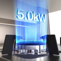 万和(Vanward)一级能效 天然气燃气灶不锈钢面板 5.0KW火力嵌入台式两用灶具 双眼灶JZT-B7B53