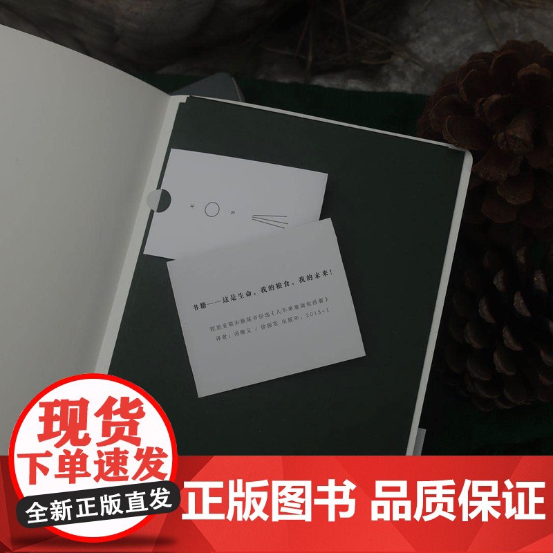 阅读笔记本 上海译文X生活在别处的兰波 上海译文出版社 杂货周边高清大图
