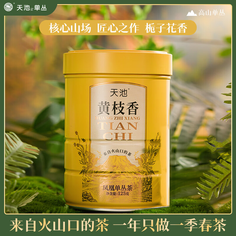天池 茗茶 单丛 青山·黄枝香125g/罐