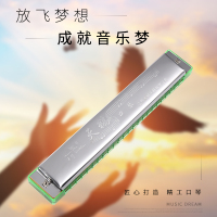SWAN天鹅24孔单音C大调口琴 儿童初学复音成人自学 老师教学 高级演奏吹奏绿色乐器