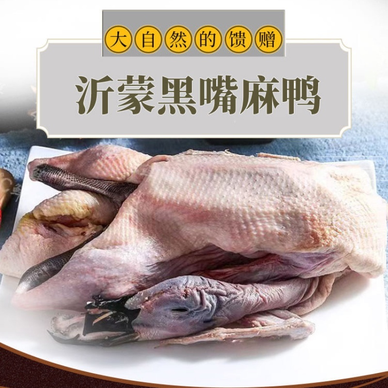 清美精选家禽组合558型A高清大图