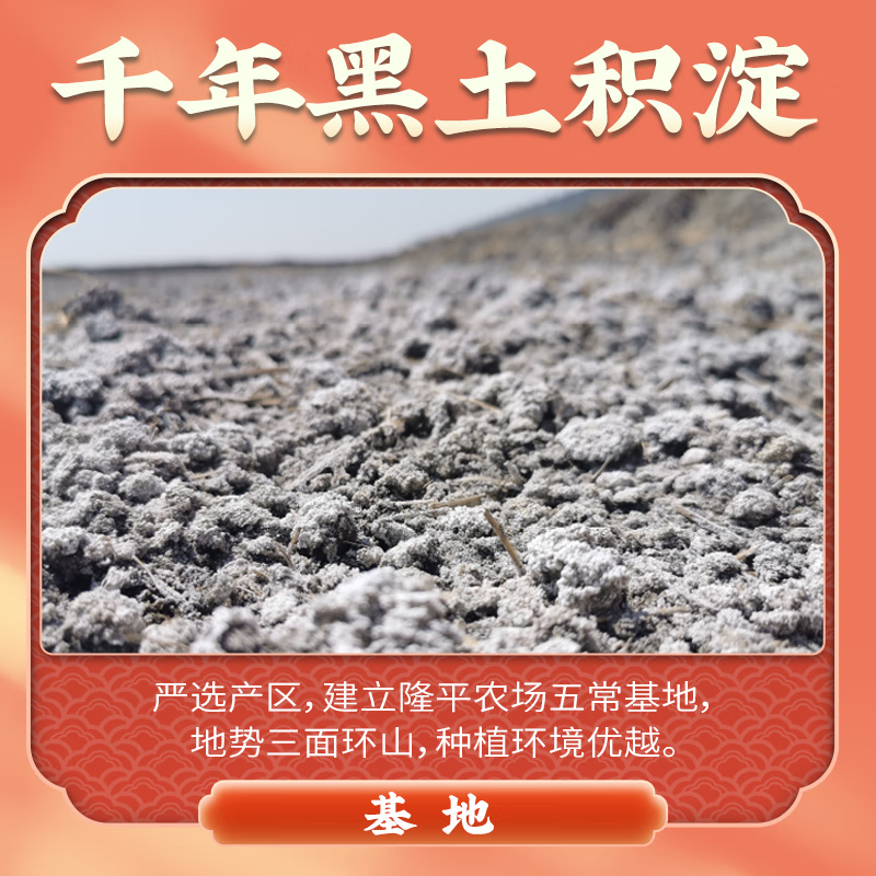 隆平芯米 东北大米 五常福稻 长粒香米 粳米真空包装 5kg(单位:袋)高清大图