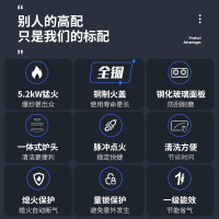 樱雪(INSE)燃气灶单灶 台嵌两用燃气灶 真铜火盖 家用5.2kW猛火灶具 防爆黑晶钢化玻璃 Q2211(B)天然气