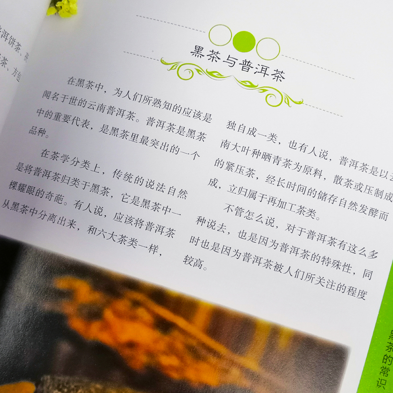 [正版]铜版纸精装 图解普洱茶茶文化书茶艺大全书籍书 识茶品茶泡茶图典中国茶道文化书籍 普洱茶书籍书籍书 茶文化百科图解高清大图