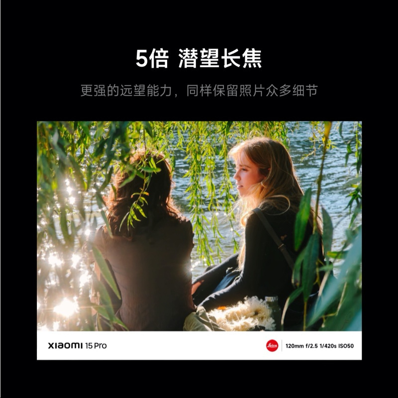 小米 Xiaomi 15 Pro 岩石灰 16+512 手机高通骁龙8至尊新品新款上市小米徕卡联合研发小米澎湃OS