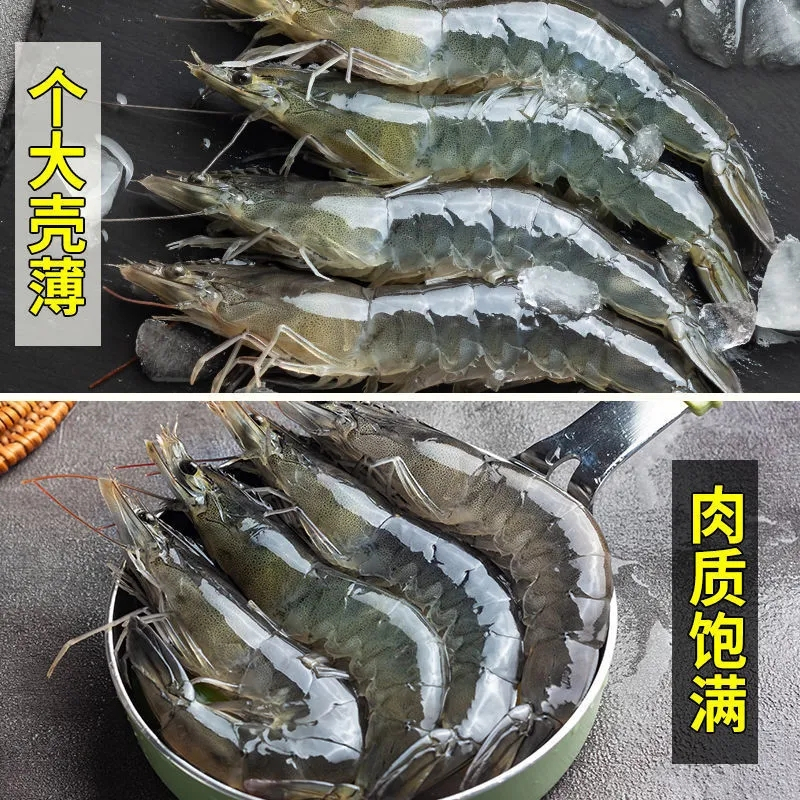 五个农民青岛大虾 盐冻大虾3.5斤装13-16cm 顺丰速运