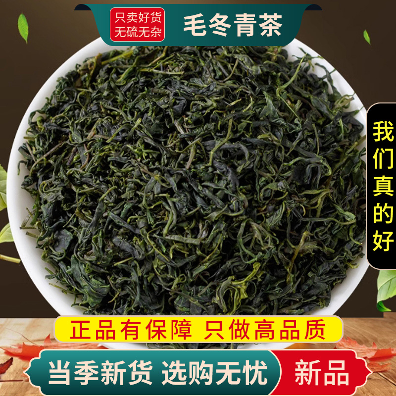 甄选毛冬青茶100克正品大叶嫩芽小叶苦丁毛东青茶新货9260高清大图