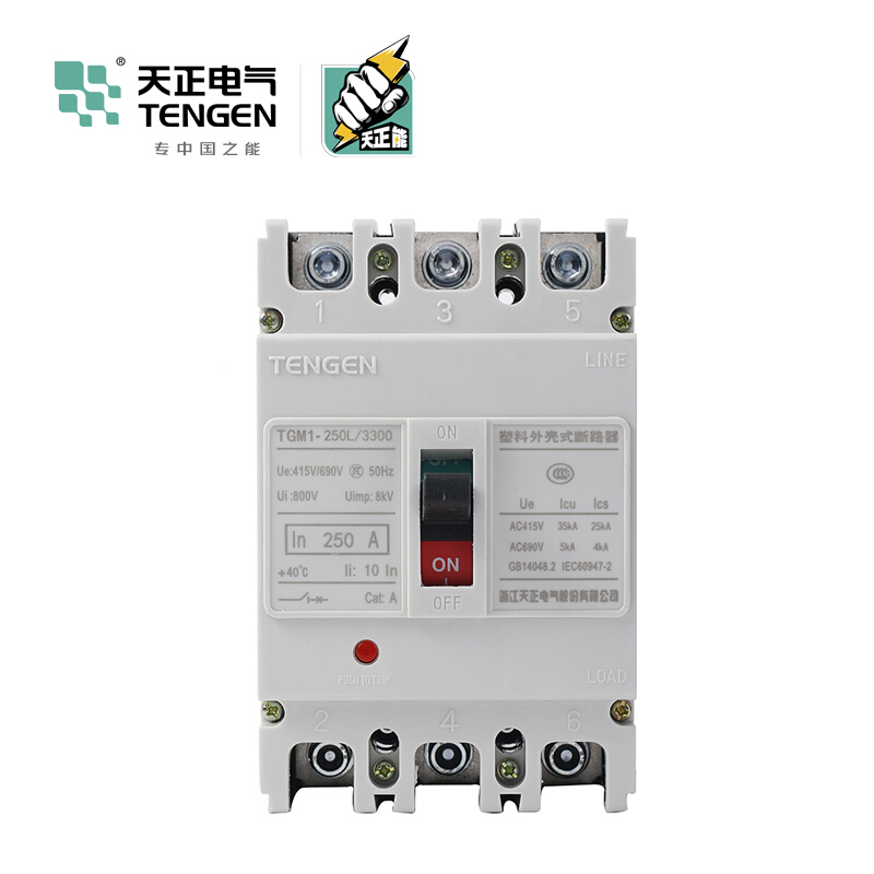 天正电气 TGM1-250 50KA 热磁式250A 3P 手动 固定式400VAC 01040076297塑壳断路器