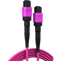 胜为智算 MPO光纤跳线母头16芯OM4 MPO/APC type B 低烟无卤 3.0mm SW-164MA-15M