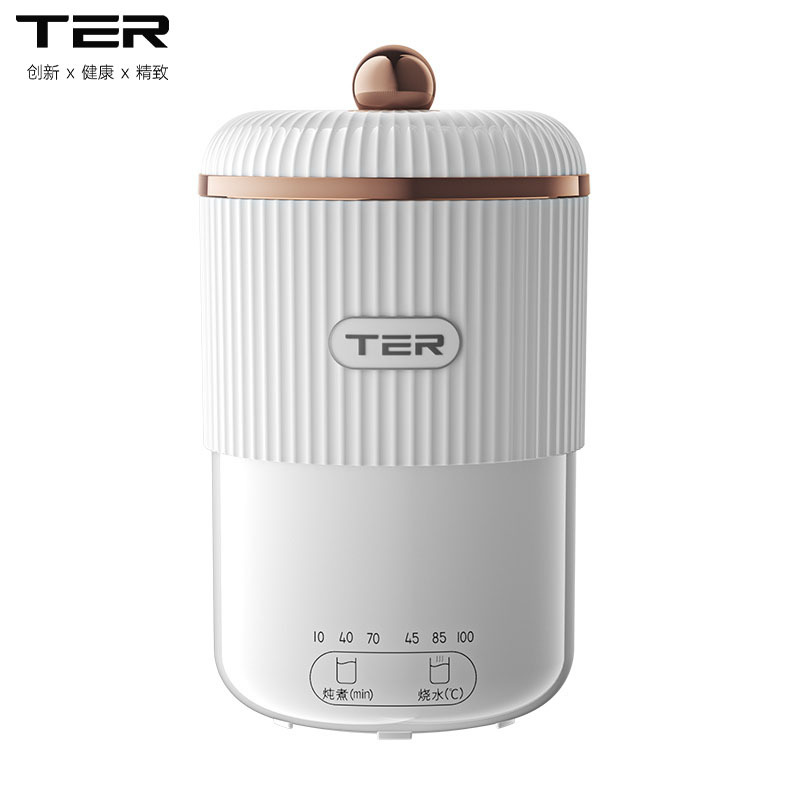 泰瑞达(TER)电炖杯养生杯小型便携烧水杯办公室神器煮粥热牛奶加热杯迷你