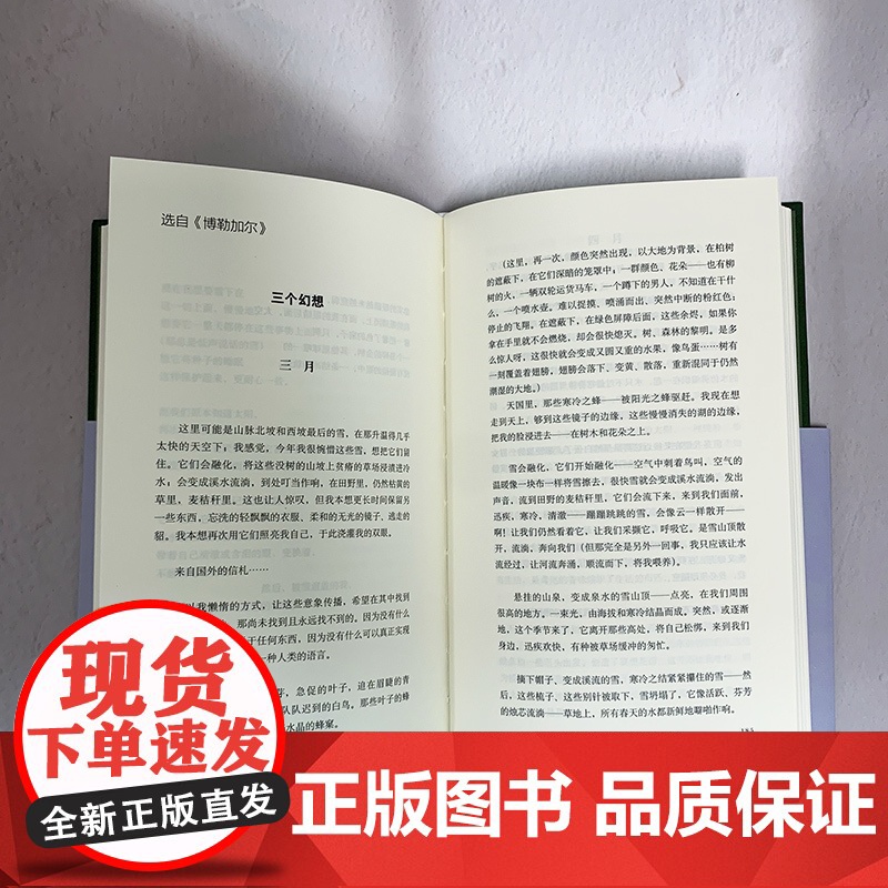 巴别塔诗典系列-墨水或许来自阴影(精装)高清大图