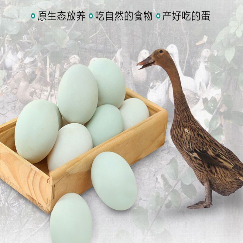正宗20枚土鸭蛋农家散养新鲜生草鸭蛋野生水鸭青绿皮壳鲜鸭蛋鸭蛋新鲜生土农村家散放养青壳草麻绿皮笨非双黄水野大个正宗